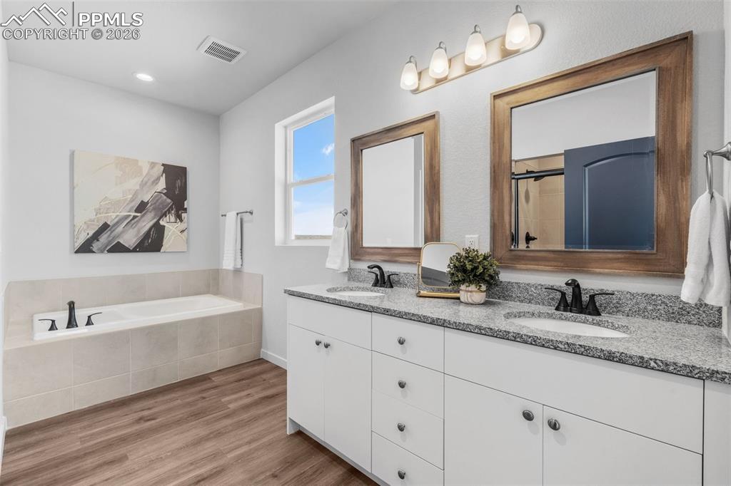 24515 Big Springs Road Calhan, CO 80808 - Photo 20 of 46 a bathroom with double vanity sinks a large mirror and a bathtub