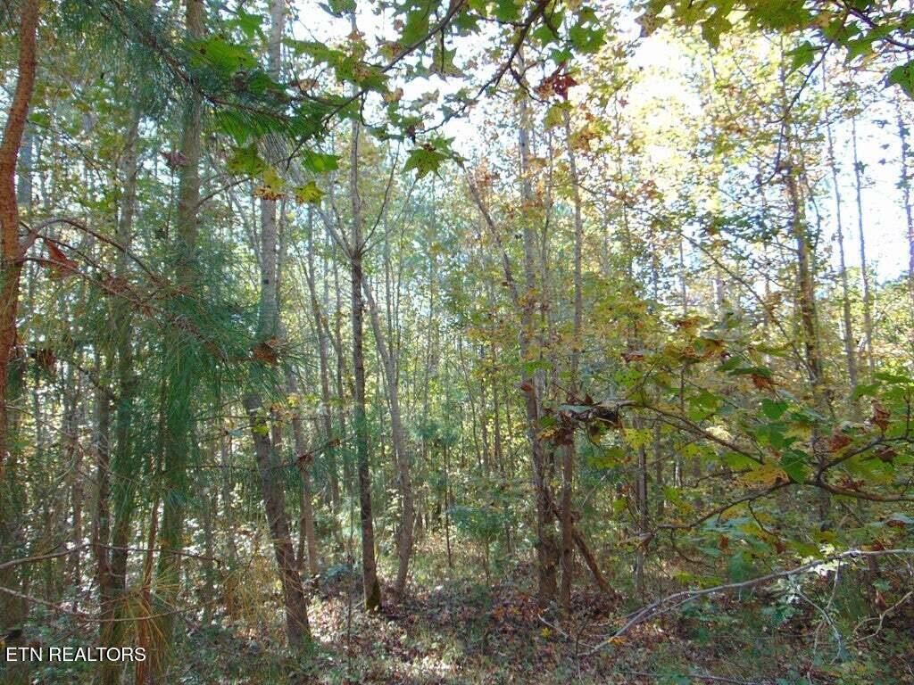 2-e-4 Charles Road Decatur, TN 37322 - Photo 11 of 14 2E 4 5