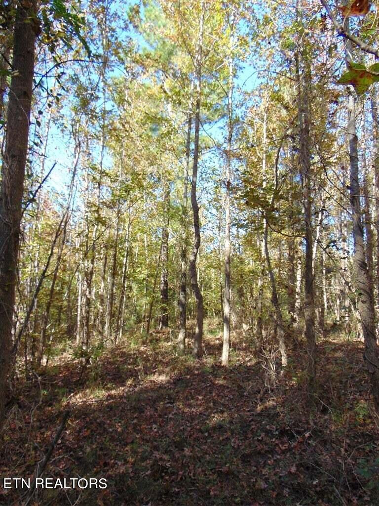 2-e-4 Charles Road Decatur, TN 37322 - Photo 12 of 14 2E 4 4