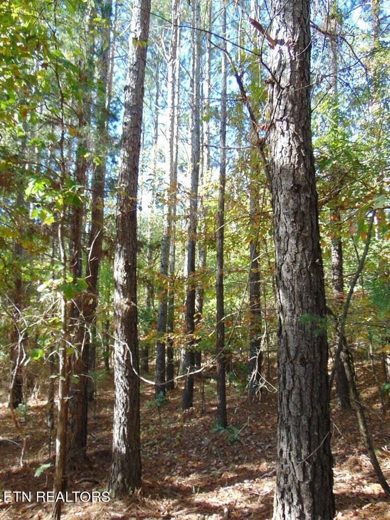 2-e-4 Charles Road Decatur, TN 37322 - Photo 14 of 14 2E 4 2