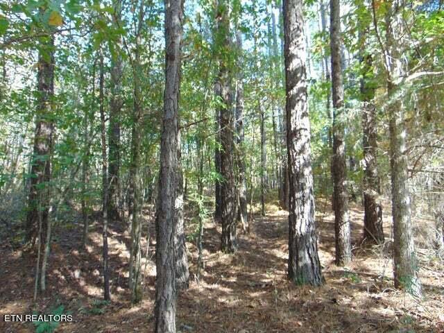 2-e-4 Charles Road Decatur, TN 37322 - Photo 2 of 14 2E 4 1