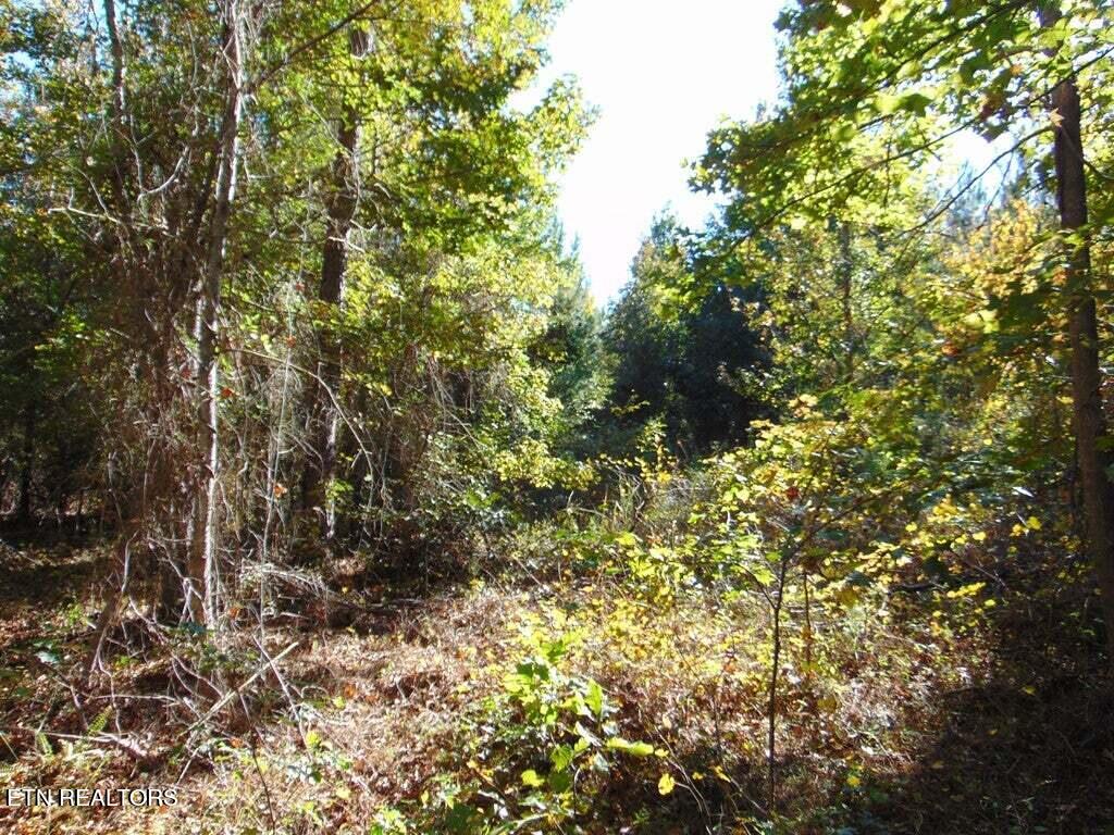 2-e-4 Charles Road Decatur, TN 37322 - Photo 6 of 14 2E 4 99