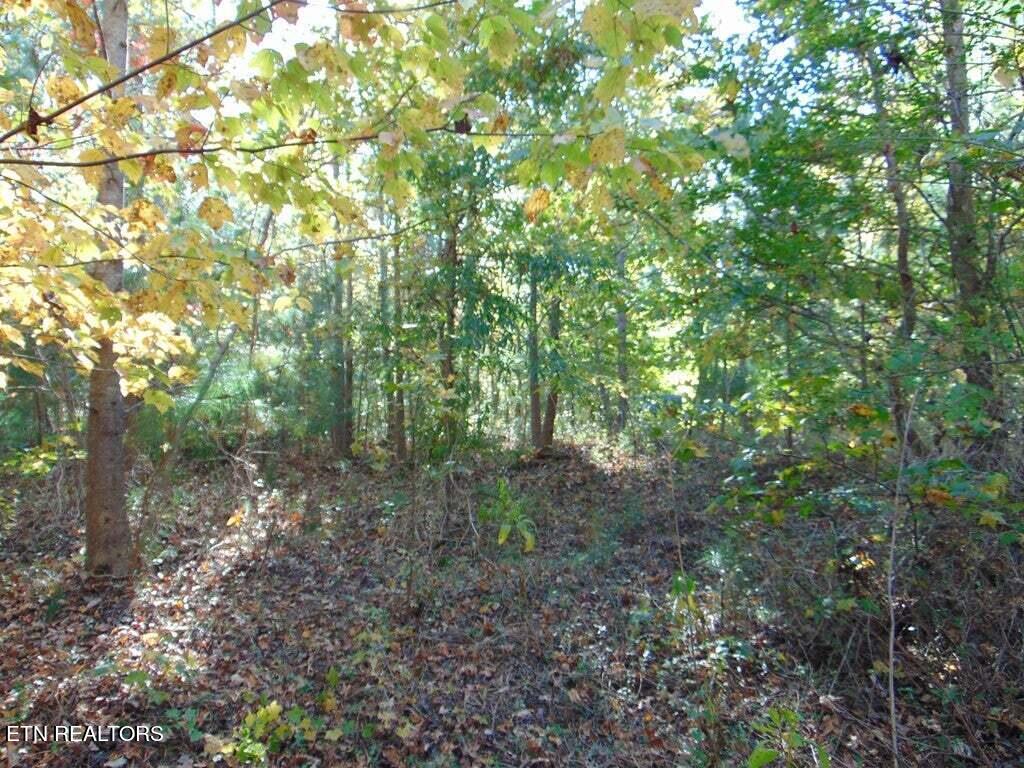 2-e-4 Charles Road Decatur, TN 37322 - Photo 7 of 14 2E 4 9