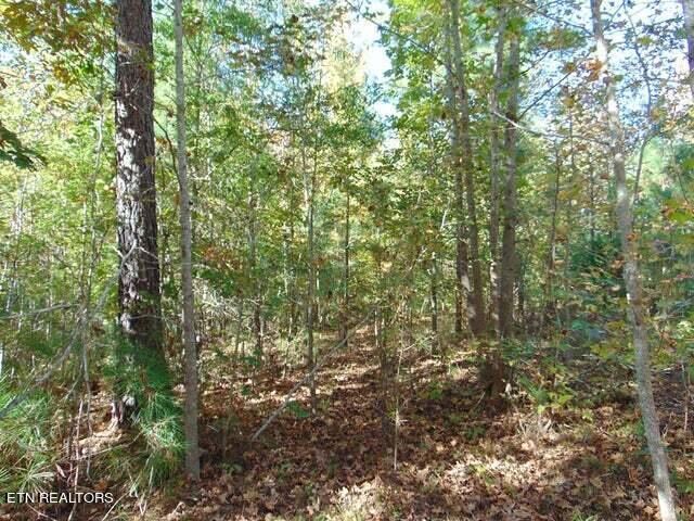 2-e-4 Charles Road Decatur, TN 37322 - Photo 8 of 14 2E 4 8