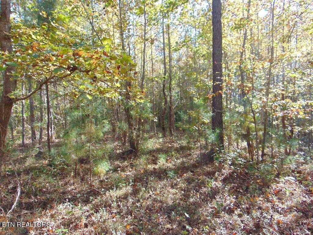 2-e-4 Charles Road Decatur, TN 37322 - Photo 9 of 14 2E 4 7