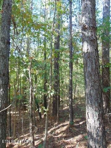 2-e-4 Charles Road Decatur, TN 37322 - Photo 10 of 14 2E 4 6