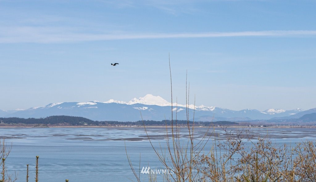 2918 Strawberry Point Road Oak Harbor, WA 98277 - Photo 1 of 40 Gallery Image 1