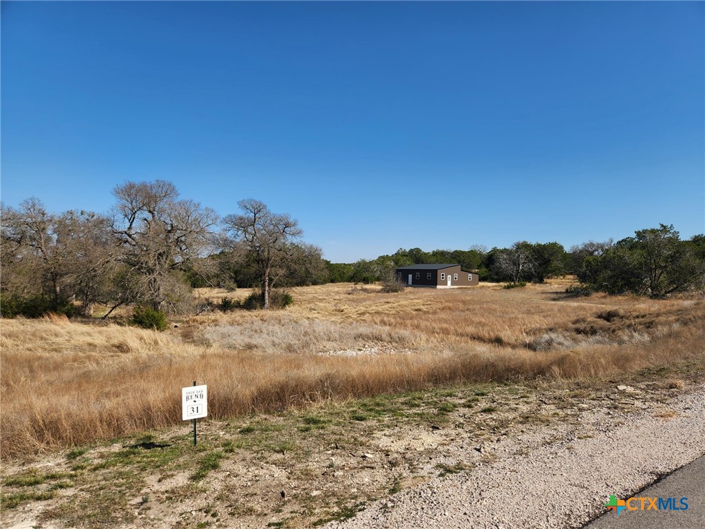 104 Riparian Elm Road Bertram, TX 78605 - Photo 7 of 20