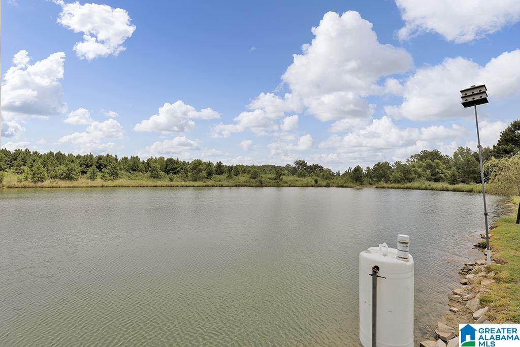293 Wynlake Drive Alabaster, AL 35007 - Photo 37 of 40
