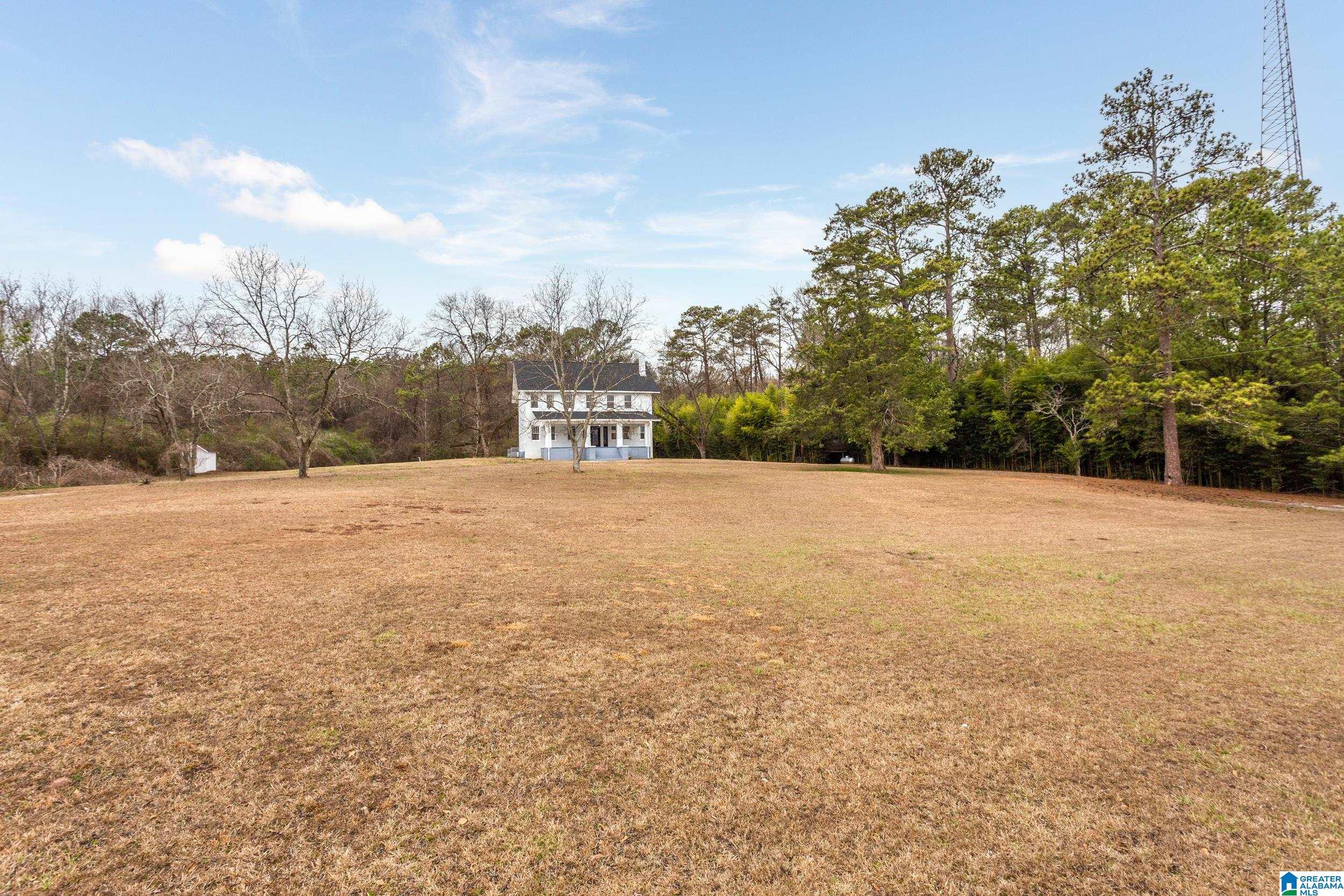 280 Turner Road Eastaboga, AL 36260 - Photo 37 of 43