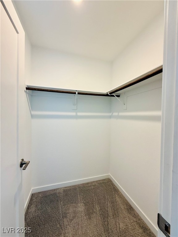 3219 Timorasso Avenue Henderson, NV 89044 - Photo 22 of 27 Walk in closet with dark carpet