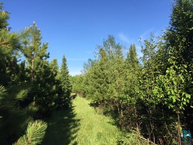 1142 Camp 20 Road Grand Marais, MN 55604 - Photo 1 of 17
