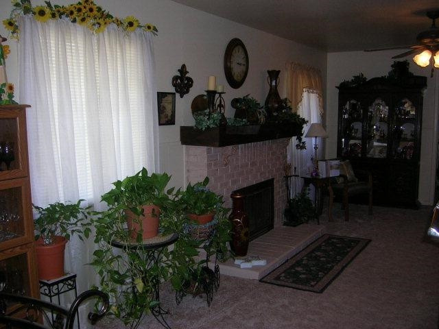 419 West 7th Street Muleshoe, TX 79347 - Photo 5 of 10 Photo 5