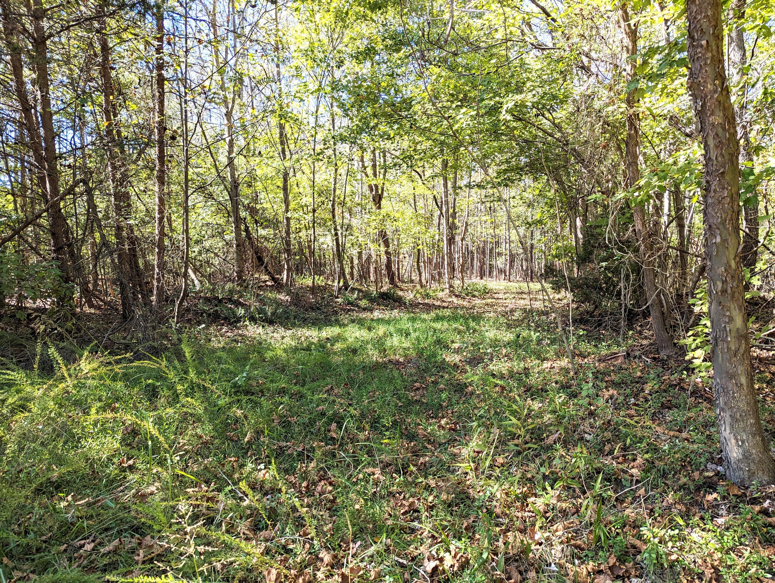 0 Pleasant Hill Road Rocky Mount, VA 24151 - Photo 1 of 12 32.84 Ac