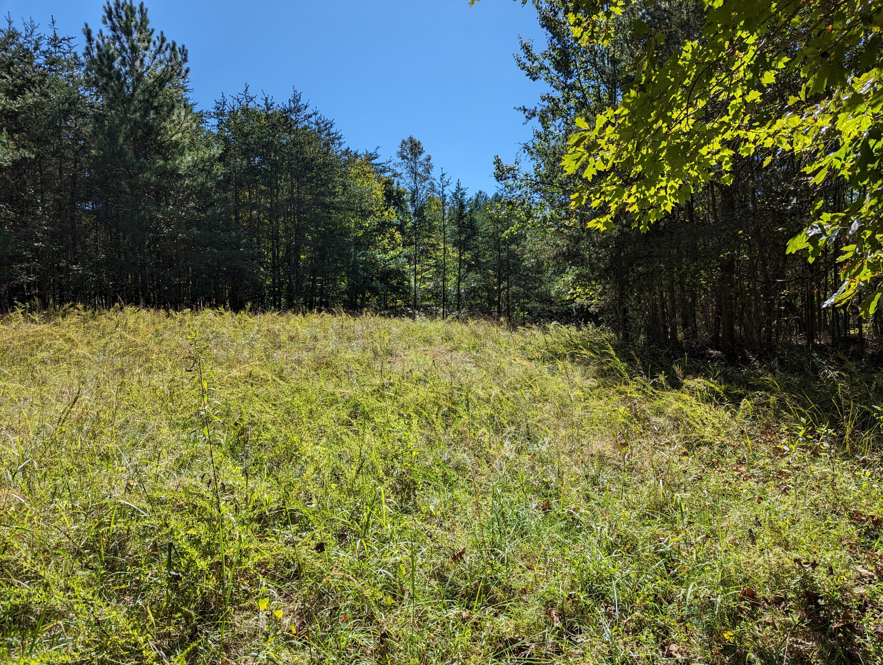 0 Pleasant Hill Road Rocky Mount, VA 24151 - Photo 2 of 12 32.84 Ac
