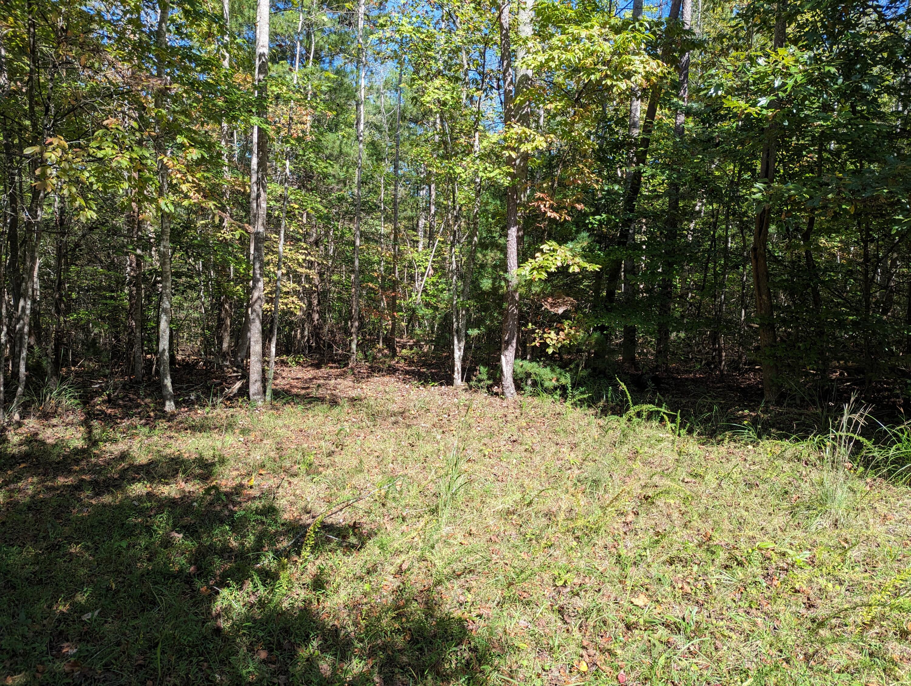 0 Pleasant Hill Road Rocky Mount, VA 24151 - Photo 3 of 12 32.84 Ac