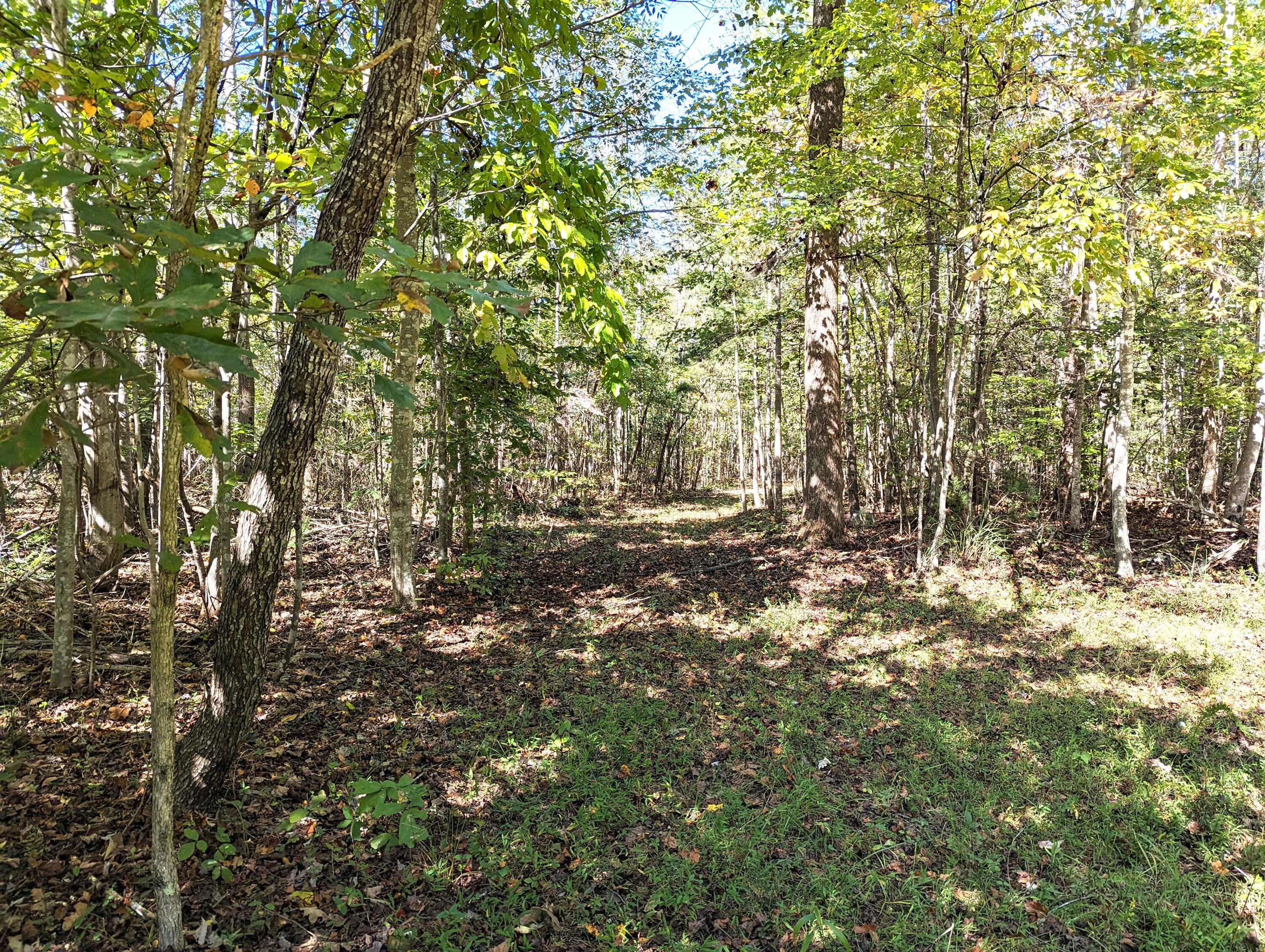 0 Pleasant Hill Road Rocky Mount, VA 24151 - Photo 4 of 12 32.84 Ac