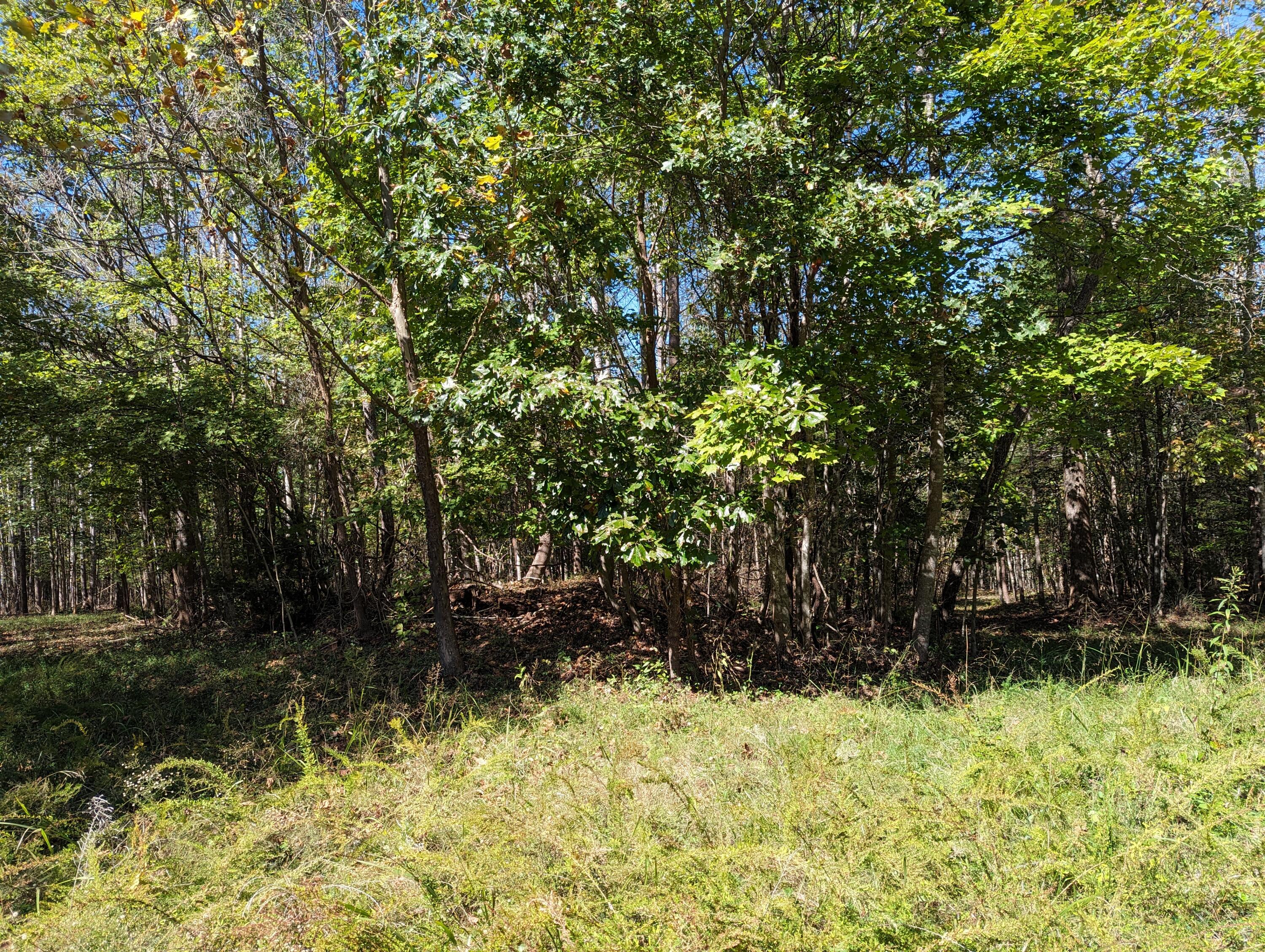 0 Pleasant Hill Road Rocky Mount, VA 24151 - Photo 6 of 12 32.84 Ac