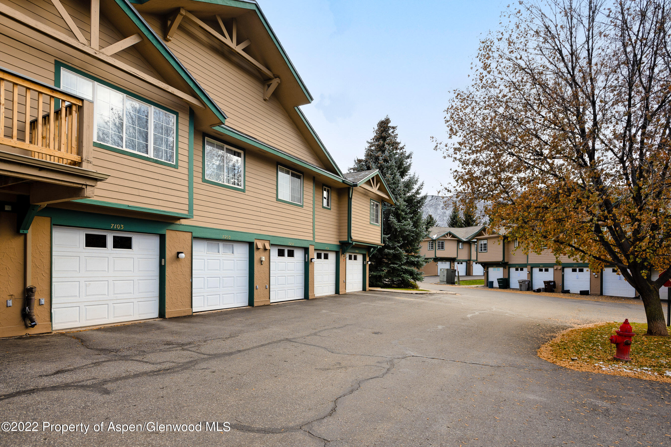7204 Elk Run Drive Basalt, CO 81621 - Photo 20 of 20 a front view of a house with a road
