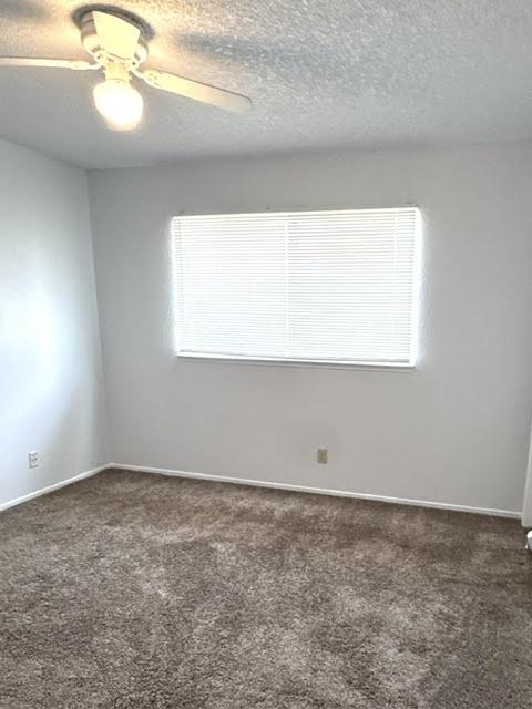 1975 Rohrer Drive Turlock, CA 95382 - Photo 20 of 25