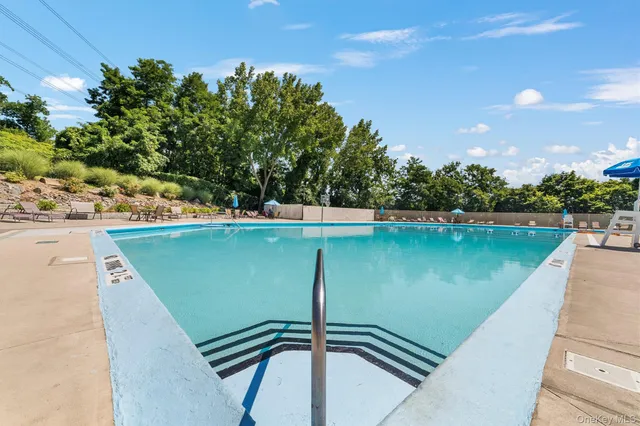 a view of a swimming pool with a lounge chair
