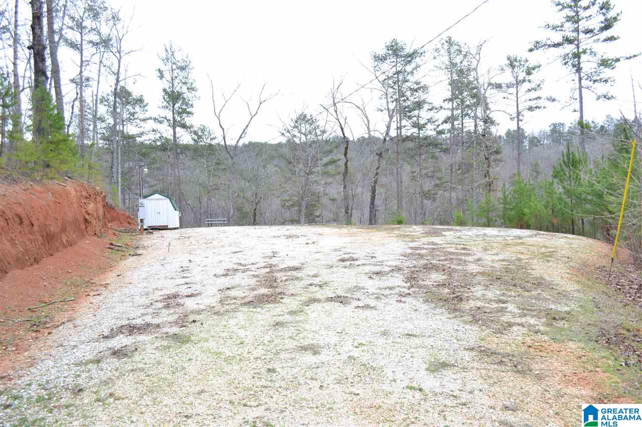 214 County Road, Unit 1 Wedowee, AL 36278 - Photo 13 of 14