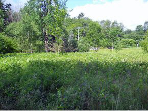 37 Stewart Wood Road Warren, VT 05674 - Photo 5 of 13 Gallery Image 5