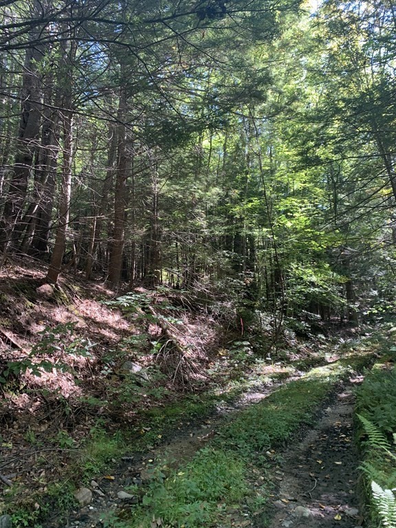 0 Pratt Hollow Road Northfield, MA 01360 - Photo 9 of 13