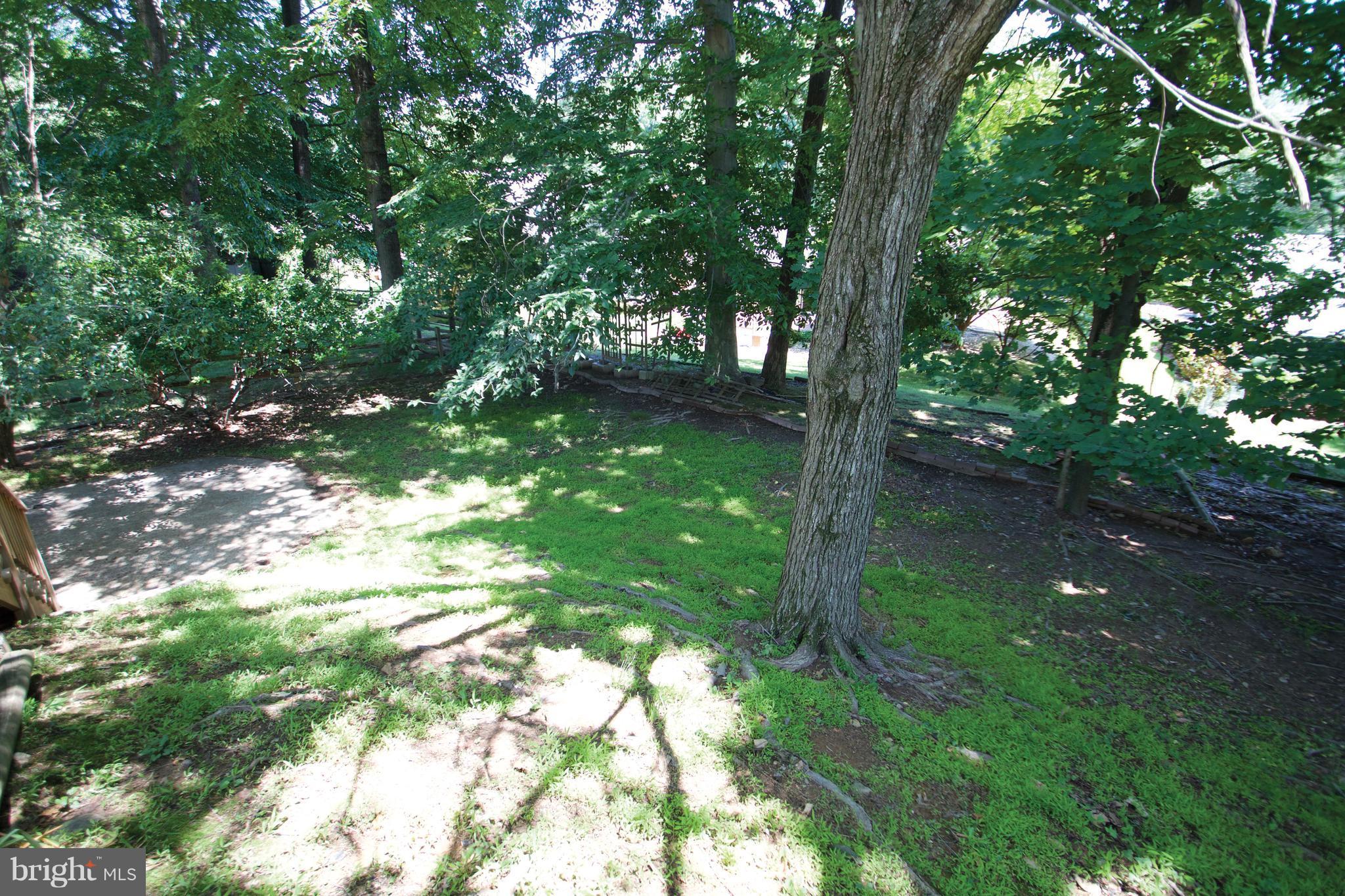 3217 Birchtree Lane Silver Spring, MD 20906 - Photo 28 of 30 Exterior (Rear)
