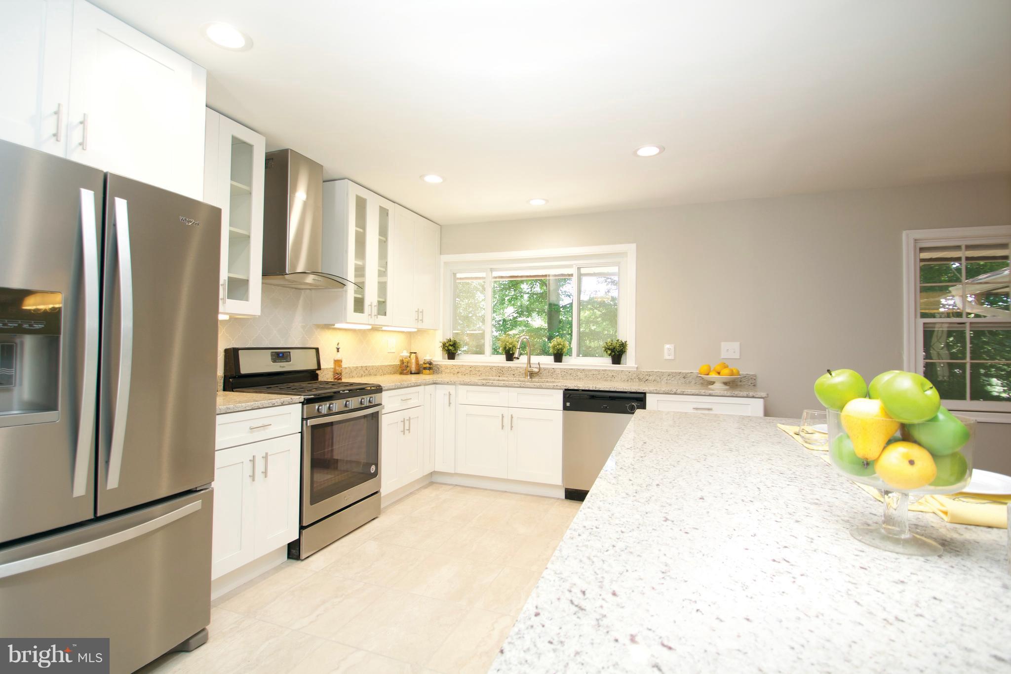 3217 Birchtree Lane Silver Spring, MD 20906 - Photo 4 of 30 Brand New Gourmet Kitchen