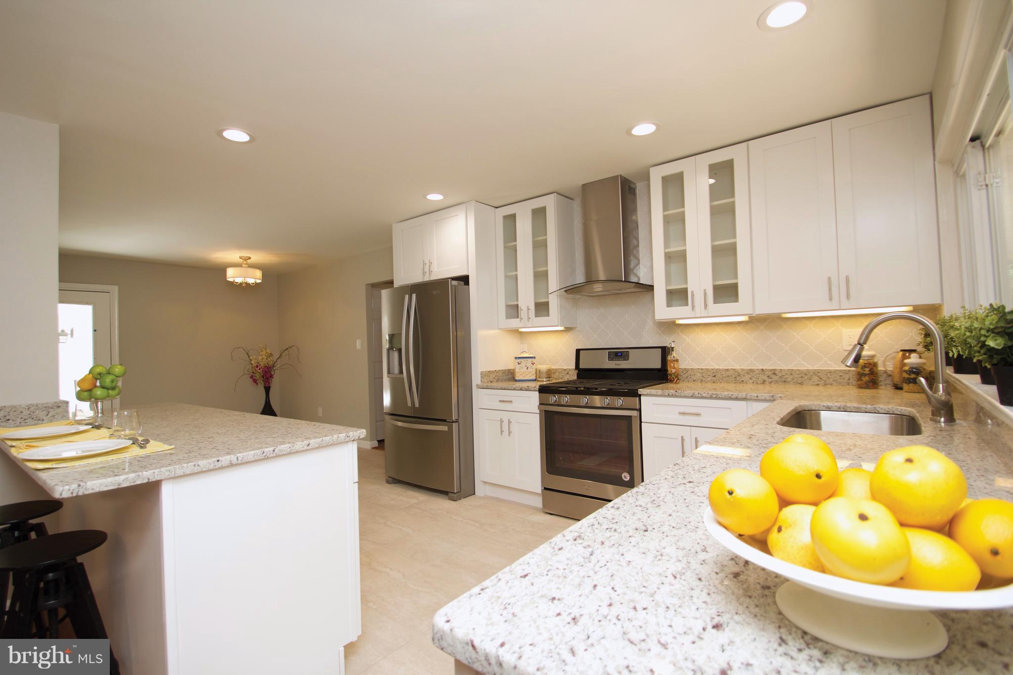 3217 Birchtree Lane Silver Spring, MD 20906 - Photo 5 of 30 Brand New Gourmet Kitchen