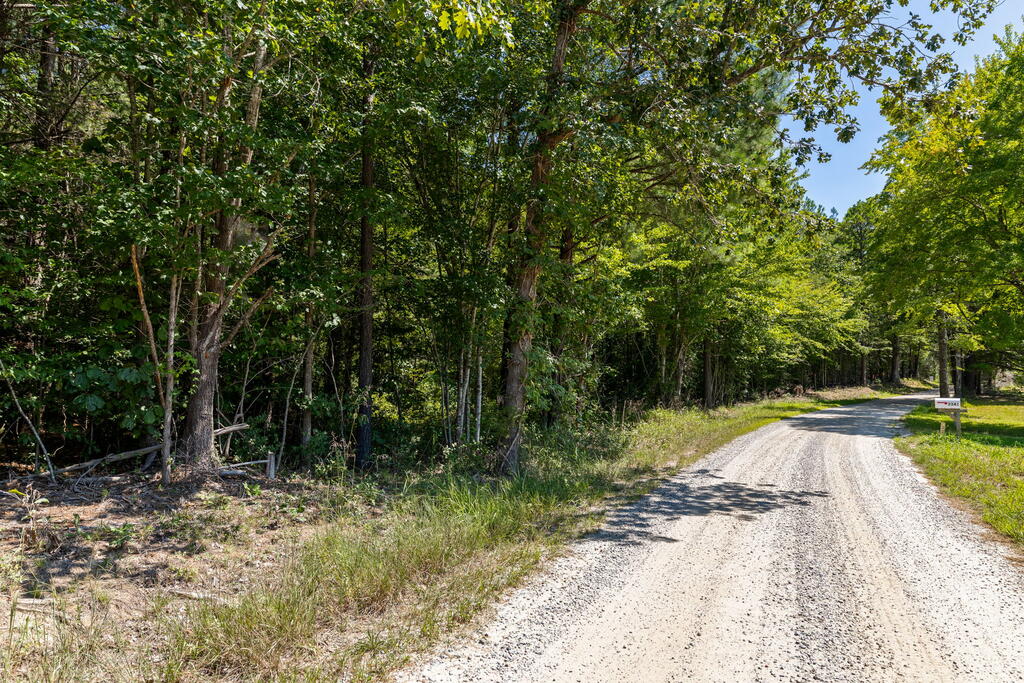 Davis Lowground Road, Unit 9 Keysville, VA 23947 - Photo 14 of 17 Gallery Image 14