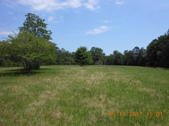 1492 Maynards Mill Road Forsyth, GA 31029 - Photo 11 of 36 Additional Photo