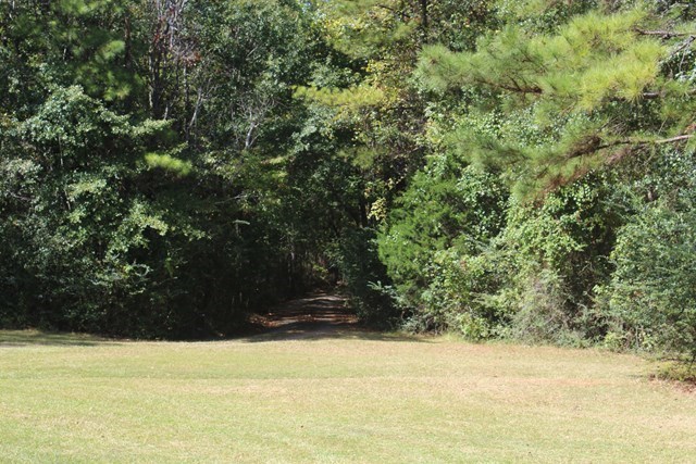 1492 Maynards Mill Road Forsyth, GA 31029 - Photo 34 of 36 Additional Photo