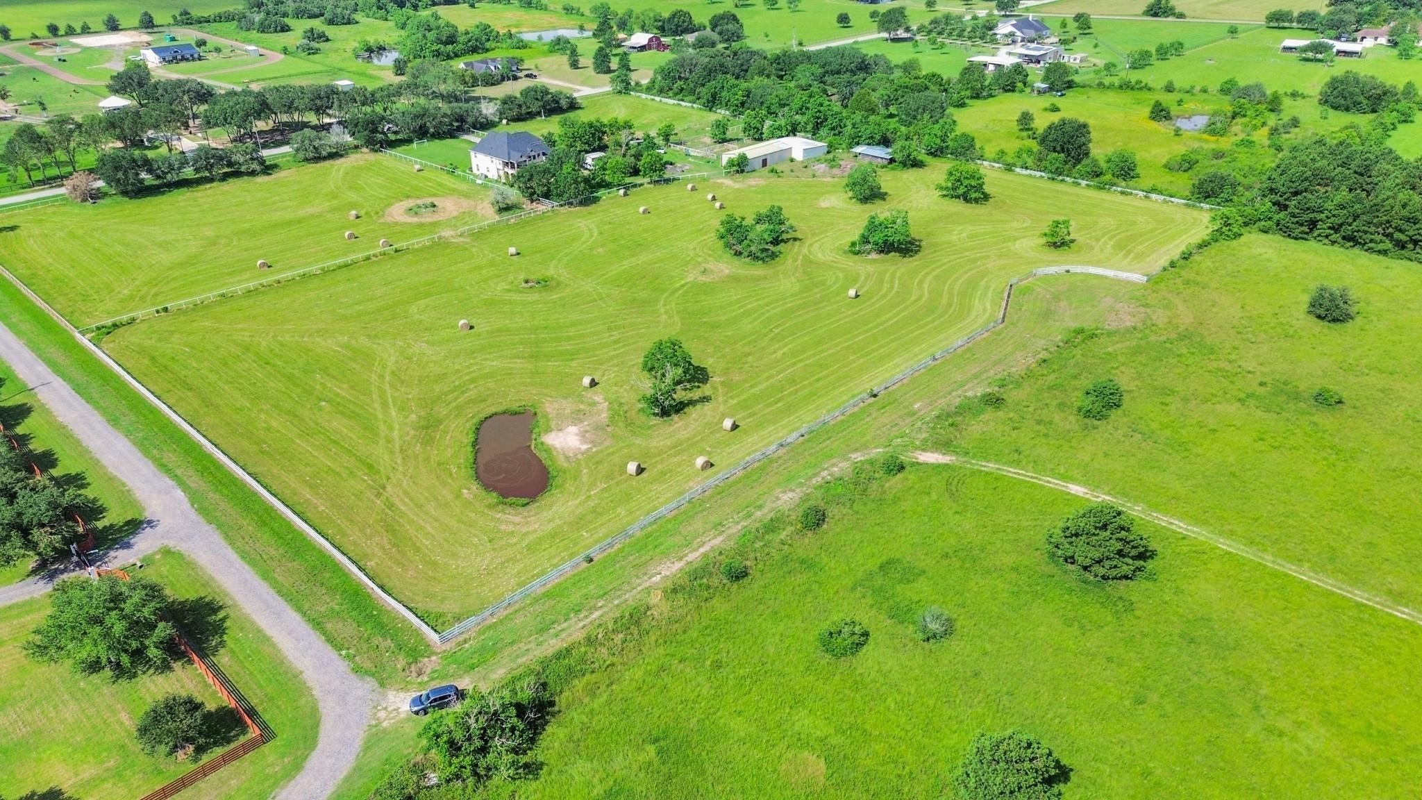 15421 Totis Road Hockley, TX 77447 - Photo 4 of 11 a green field with lots of green plants