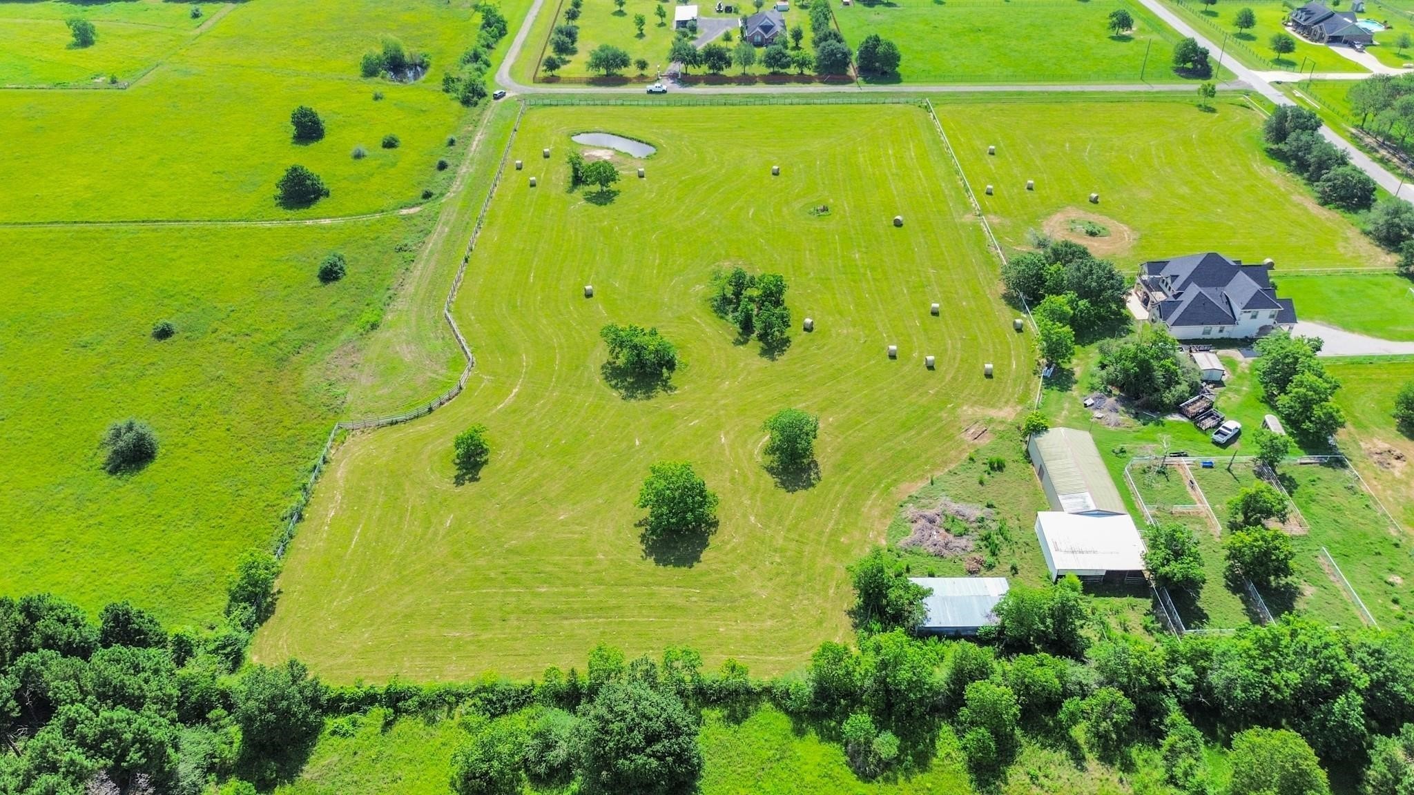 15421 Totis Road Hockley, TX 77447 - Photo 5 of 11 a view of a bunch of trees in a yard