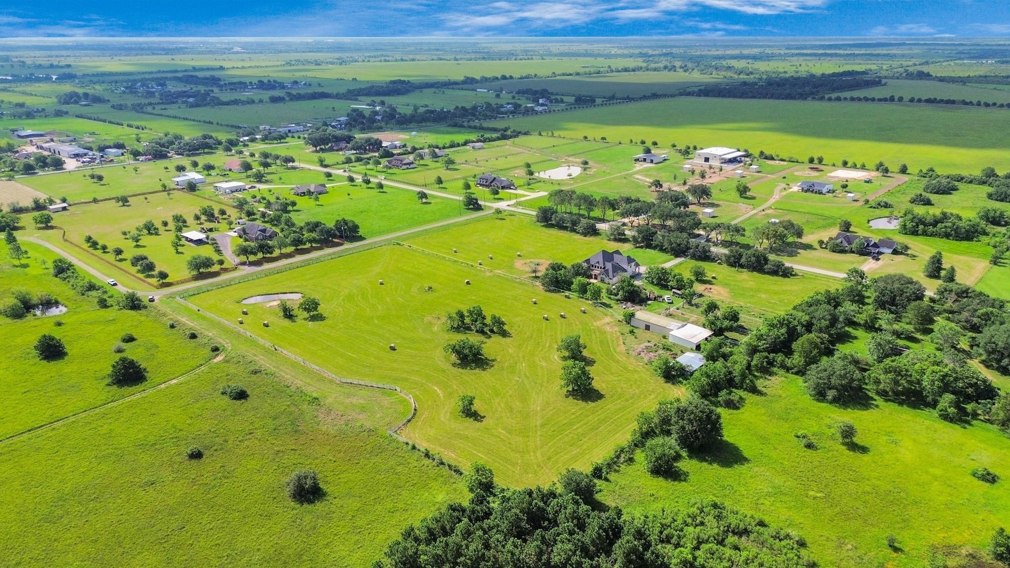 15421 Totis Road Hockley, TX 77447 - Photo 7 of 11 a view of a large trees