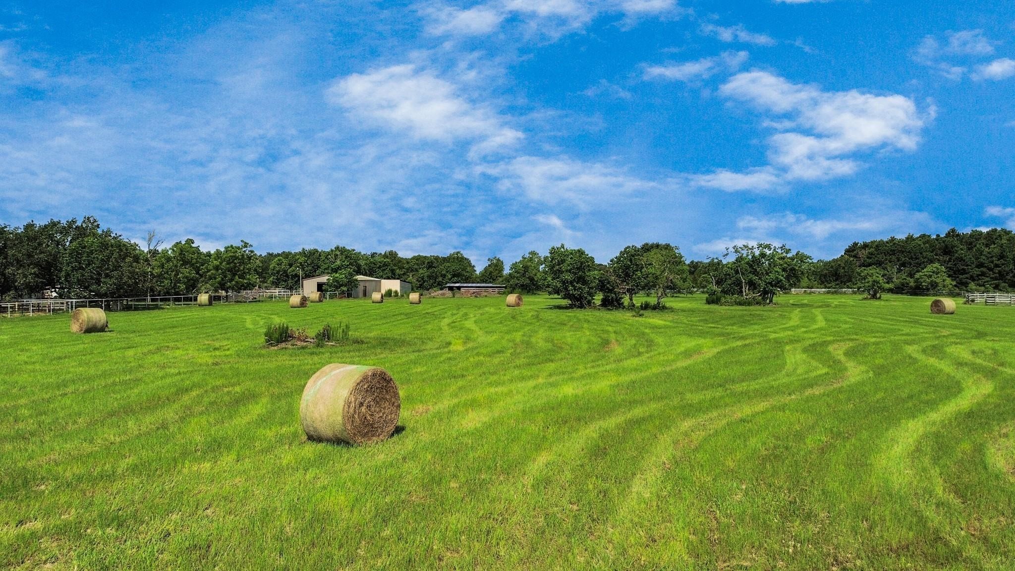 15421 Totis Road Hockley, TX 77447 - Photo 8 of 11 a view of a golf course with a garden