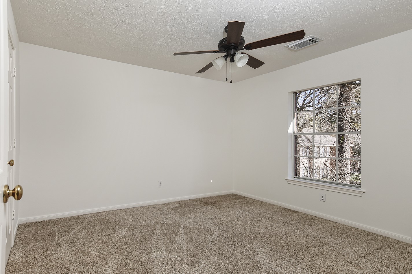 6315 Three Flower Lane Houston, TX 77345 - Photo 24 of 29 a view of a big room with carpet in it