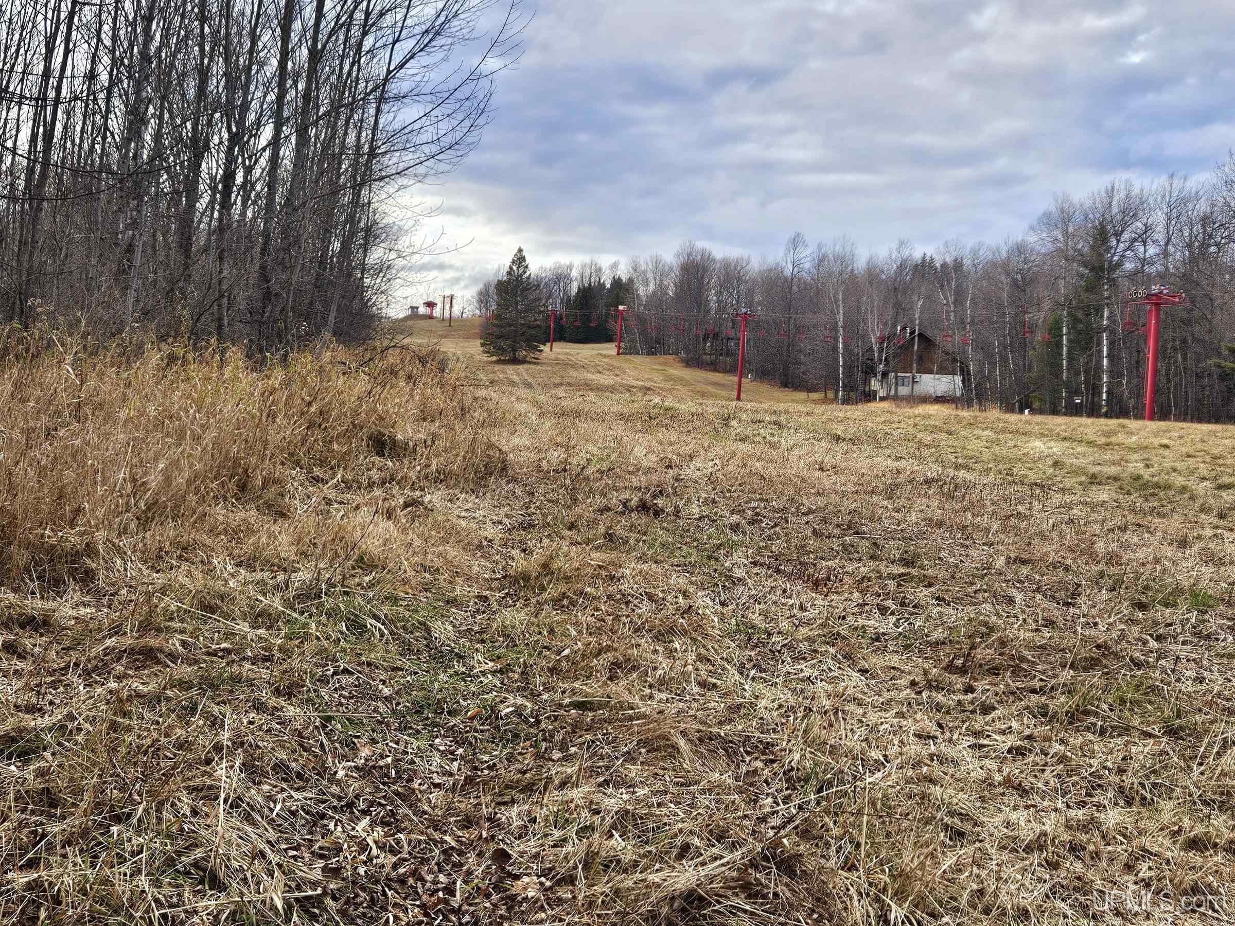 Tbd Tbd Road Bessemer, MI 49911 - Photo 8 of 13
