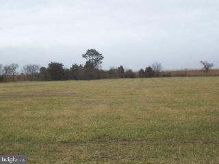 Lot1 Mt Vernon Road Princess Anne, MD 21853 - Photo 6 of 8