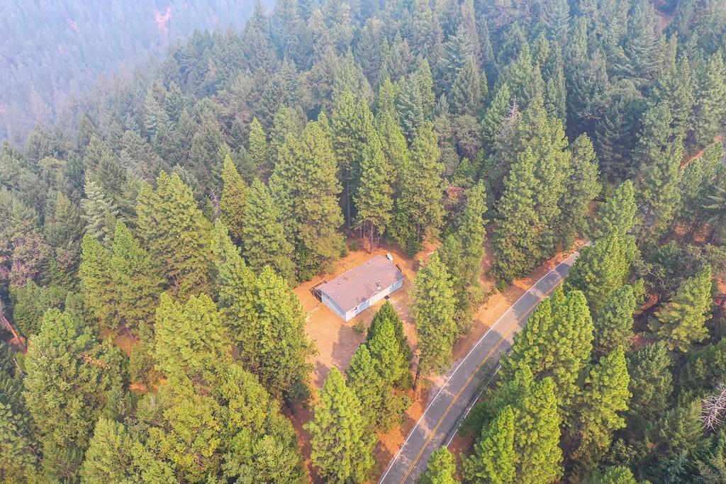 22001 Fiddletown Road Fiddletown, CA 95629 - Photo 11 of 46