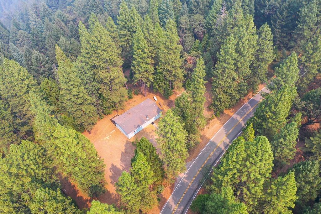 22001 Fiddletown Road Fiddletown, CA 95629 - Photo 12 of 46