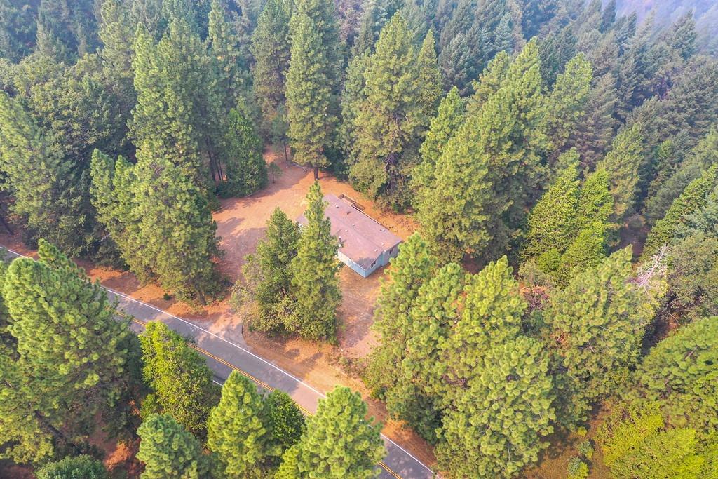 22001 Fiddletown Road Fiddletown, CA 95629 - Photo 13 of 46