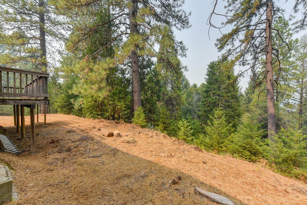 22001 Fiddletown Road Fiddletown, CA 95629 - Photo 17 of 46