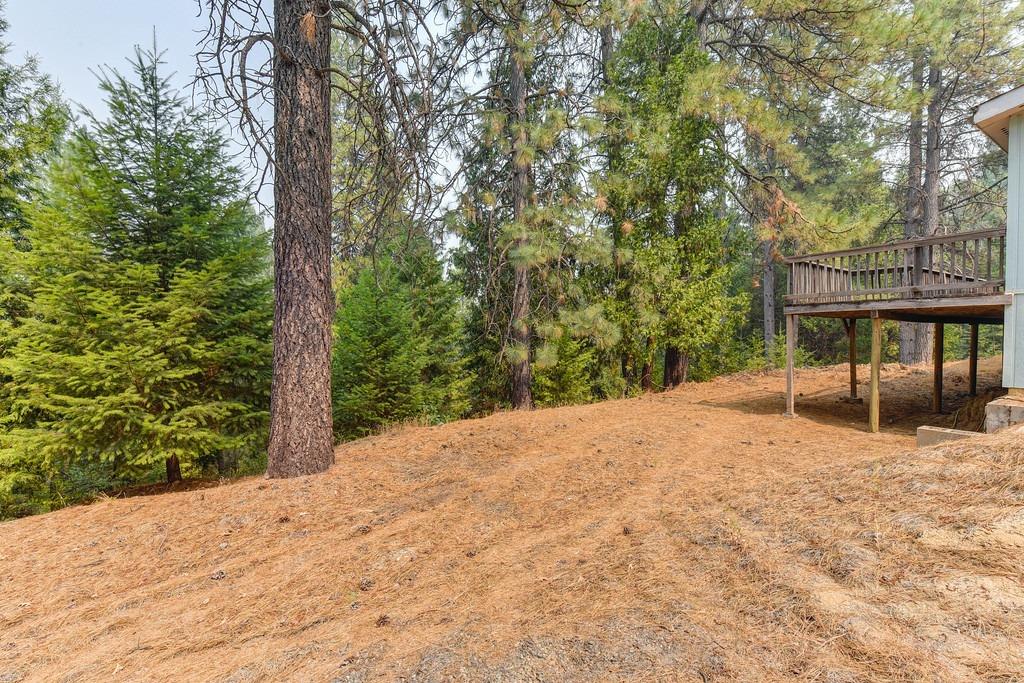 22001 Fiddletown Road Fiddletown, CA 95629 - Photo 20 of 46