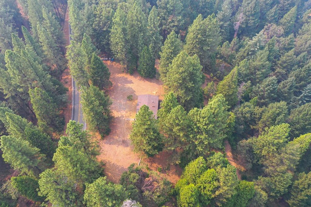 22001 Fiddletown Road Fiddletown, CA 95629 - Photo 5 of 46