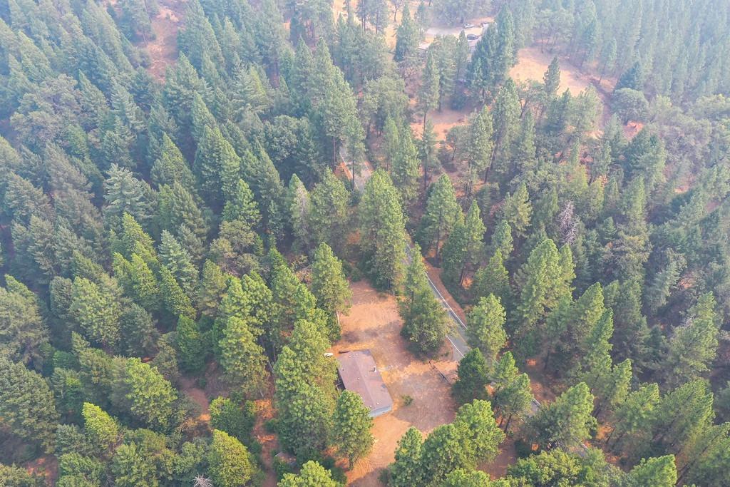 22001 Fiddletown Road Fiddletown, CA 95629 - Photo 8 of 46
