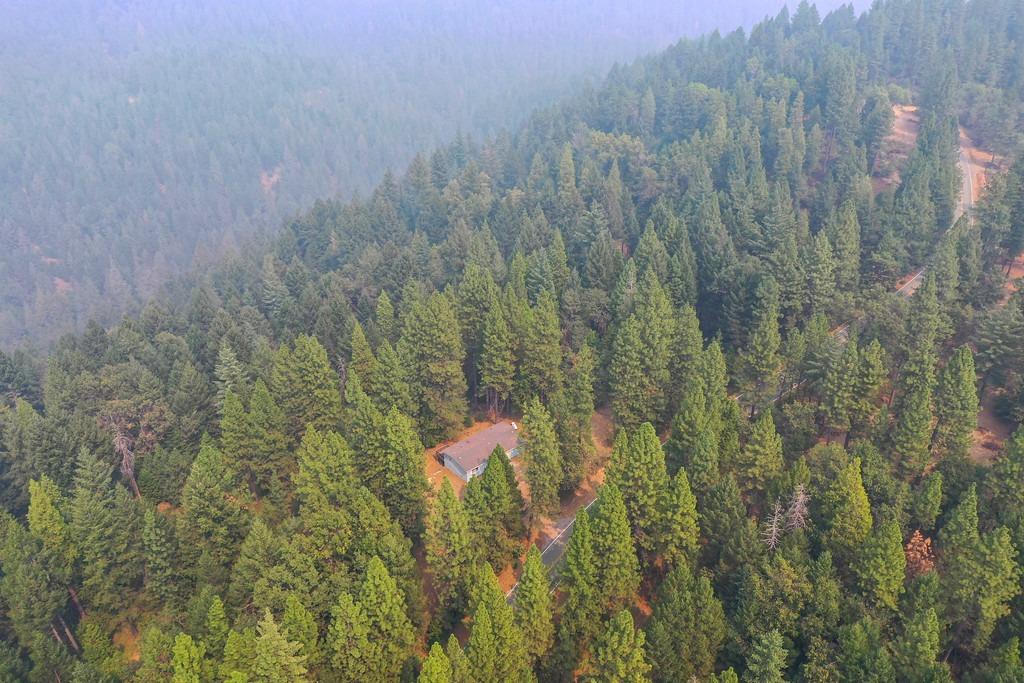 22001 Fiddletown Road Fiddletown, CA 95629 - Photo 10 of 46
