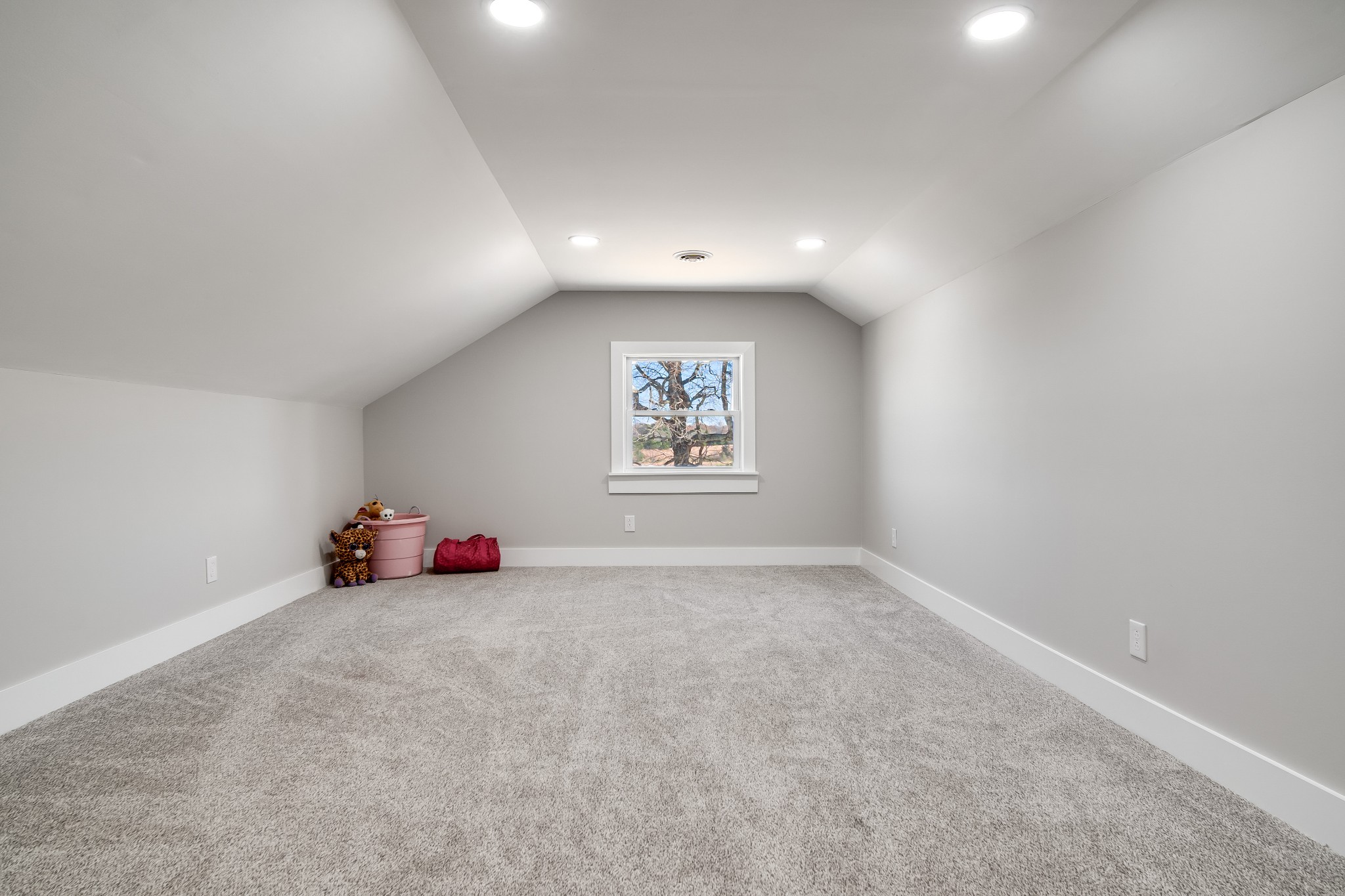 459 Bowling Branch Road Cottontown, TN 37048 - Photo 65 of 67 Gallery Image 65